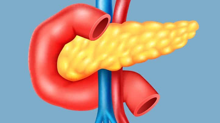 Illustration of pancreas