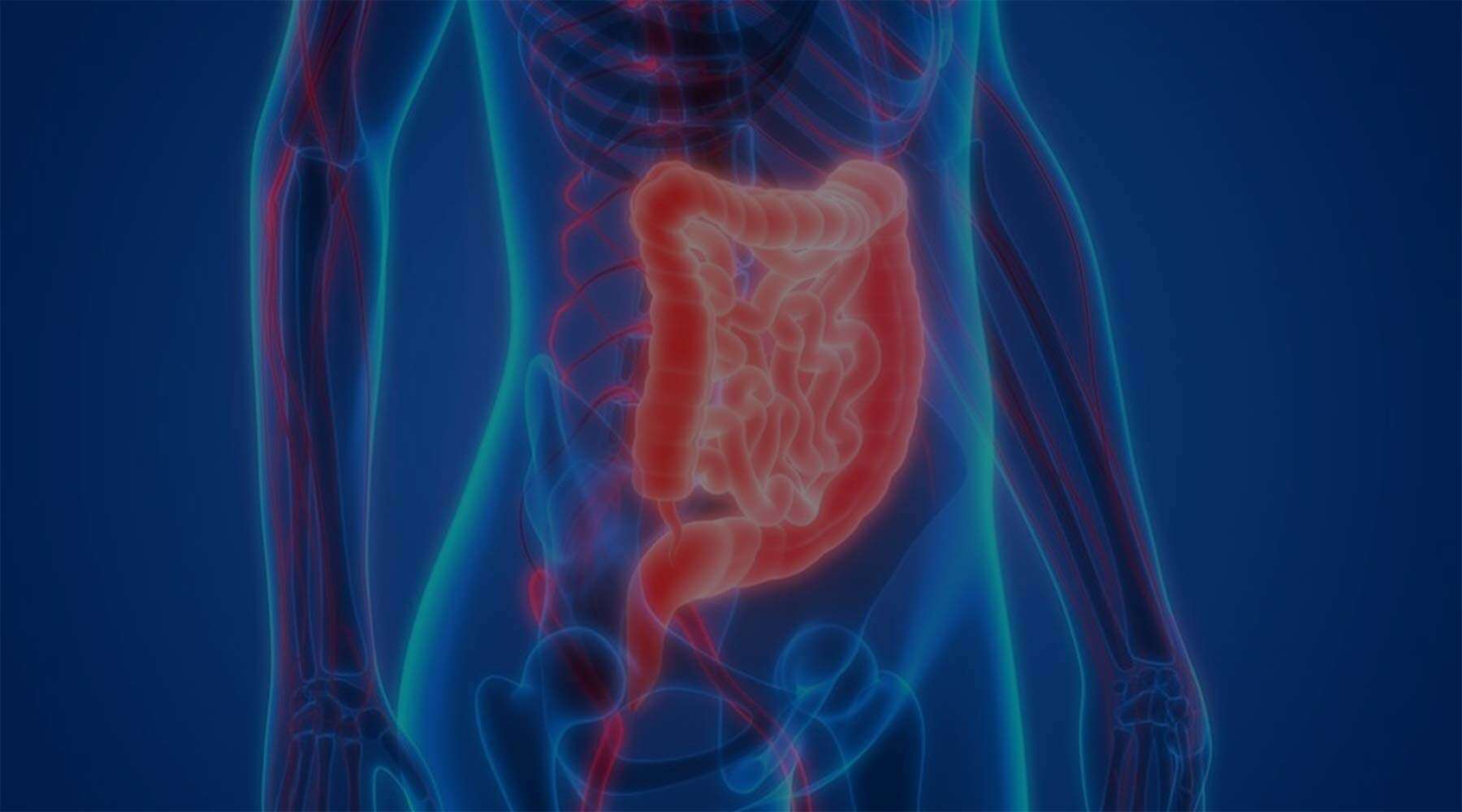 Gastro Illustration
